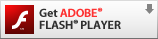 Adobe Flash Player installieren
