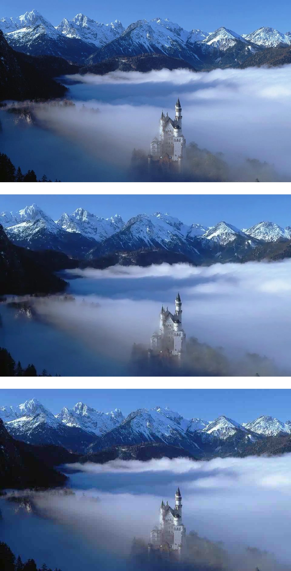 AVIF-, WebP- und JPEG-Variante desselben Fotos. Alle drei Bilder sind ca. 23 KB groß.